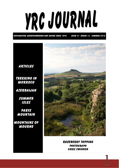 YRCJ 2016; 13(21) cover